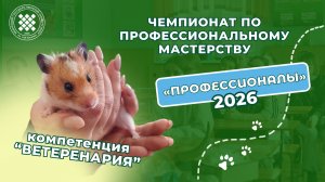 На пути к успешной карьере: стартовал региональный этап чемпионата «Профессионалы-2026»