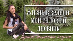 СОЗДАНИЕ МОЛОДОГО УЮТНОГО САДА