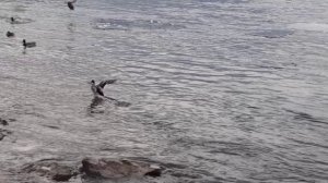 11 фев 2026 _ +4   Мои  поездки