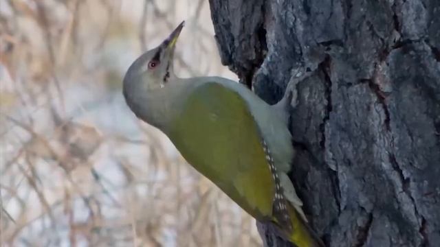 Утро Ингушетии 13.02.2026 смотреть онлайн