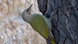 Утро Ингушетии 13.02.2026