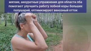 Причины деградации мозга - в спазме шейных и головных мышц. Сосуды важнее шоколада. Упражнения