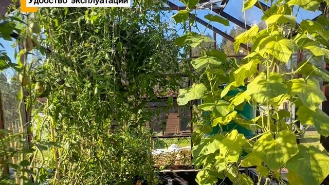 Теплица Botanik Standard с мини тамбуром от компании Engarden