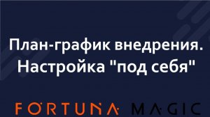План-график внедрения. Настройка под себя