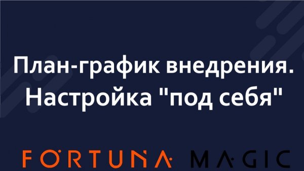 План-график внедрения. Настройка под себя