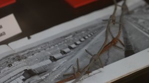 В кинотеатрах Ставрополья стартует показ военной драмы «Вальс со смертью»