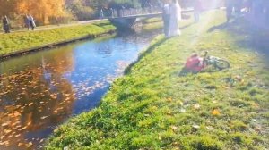 Питерская золотая осень .