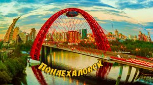 Понаехоловск обыкновенный