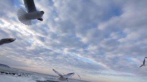 Море 🌊...Продолжение.