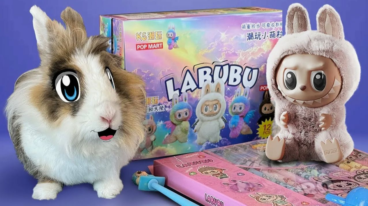 БОЛЬШАЯ распаковка ЛАБУБУ! СЕКРЕТНАЯ LABUBU Back to school смотреть онлайн