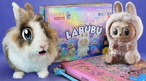 БОЛЬШАЯ распаковка ЛАБУБУ! СЕКРЕТНАЯ LABUBU Back to school