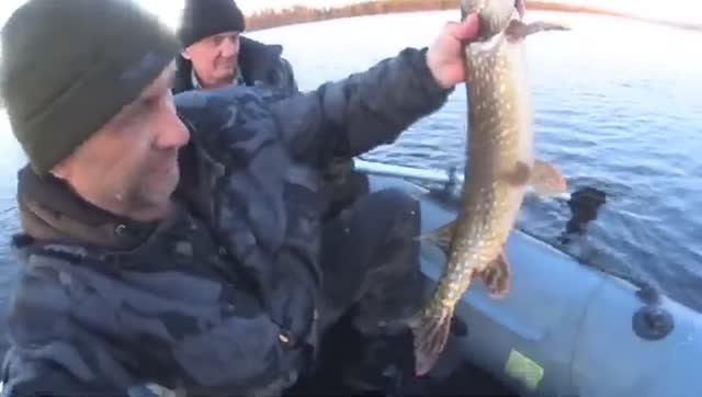 Рыбалка в глухой Карельской Тайге!Кузю чуть не съела,Рыжая огромная щука,под сосной! смотреть онлайн