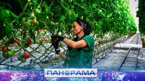 ⚡️ Во благо Донбасса: какие перемены ждут сельские территории?