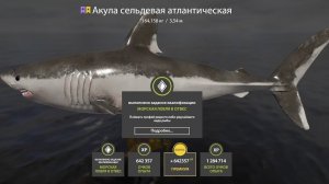 НОВЫЕ СУПЕР ТОЧКИ НА МЕДНОМ, ФАРМ НА МОРЕ И РАЗДАЧИ НА ЯНТАРНОМ И ВЬЮНКЕ В РУССКОЙ РЫБАЛКЕ 4 РР4