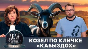 Дела судебные с Еленой Кутьиной. Новые истории. Эфир от 03.10.25