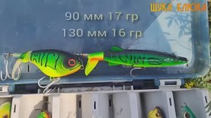 Бесячий КВОКЕР (за 200 рублей) собрал всю ЩУКУ… Смешной китайский воблер, но он ловит