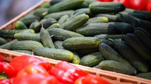 ФАС попросили проверить резкое повышение цен на огурцы