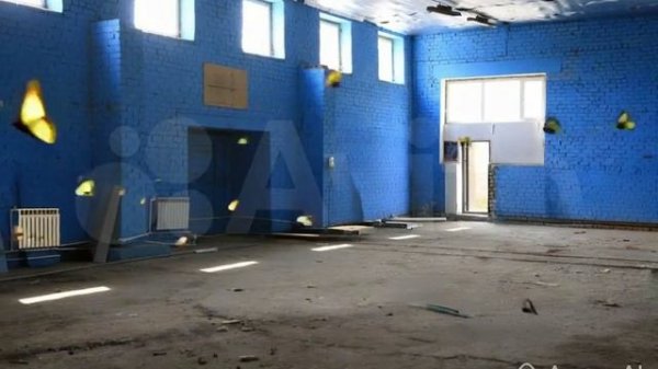 video_2026-02-12_11-04-11