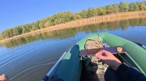 Рыбалка на кружки и спиннинг. Ловля щуки осенью на лесном озере