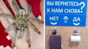 Фото от подписчиков 31 часть