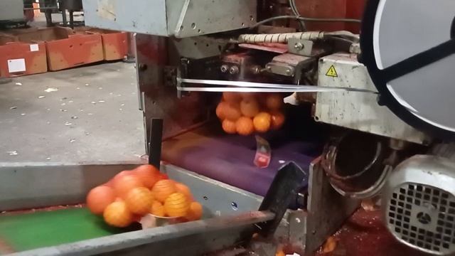 Двойная проволока