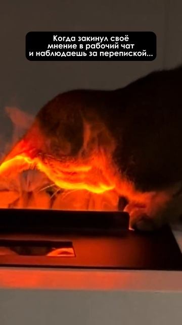 МНЕНИЕ В РАБОЧЕМ ЧАТЕ #заказатьвидео #видео #реклама #видеоролик #анимация #съёмка #юмор #студия смотреть онлайн