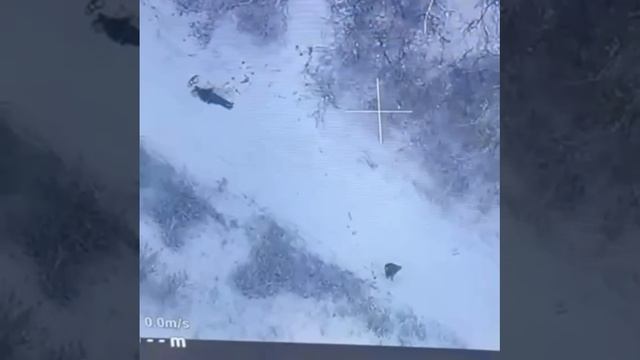 🇷🇺Наш воин в одиночку обнулил двух ВСУшников…🇺🇦 смотреть онлайн