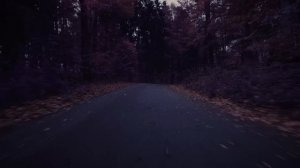 Мальчик Сема - Песня на флейте