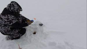 Приключения На Рыбинском Водохранилище Часть 3