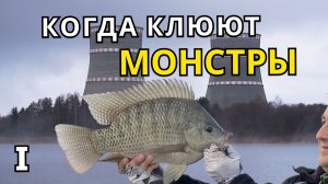 ЛУЧШАЯ РЫБАЛКА 2025 !!! 1 ЧАСТЬ!!!  ЛОВЛЯ ТРОФЕЙНОЙ ТЕЛЯПИИ !!!