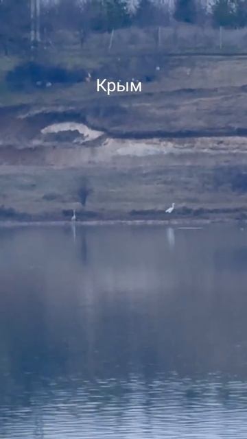 2026-02-05 смотреть онлайн