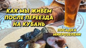 1083 Обзор наших покупок/Посадка микрозелени для салатов/Жизнь семьи на юге