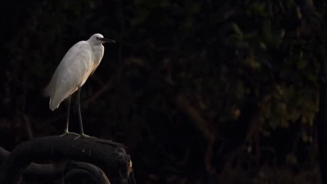 Штат Керала — очень прогрессивный и удивительно развитый штат