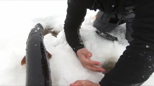 Разгадали рыбу и началось