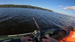 Рыбалка на сома. Бешеный клев сома на выползка. Ловля сома на квок. Осенняя рыбалка