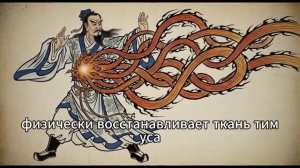 Забытый центр иммунной силы и внутренней защиты организма