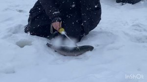 12.02.26 - ловля форели