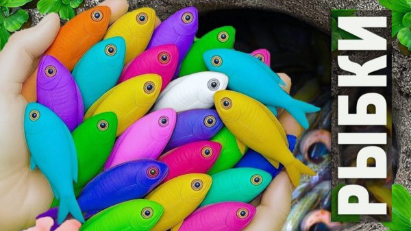 Мультики для детей про ярких речных обитателей. Ловим и рассматриваем. Мультики про рыбок малышам