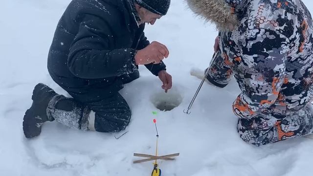 Жёлтый сыр.Поимка Форели смотреть онлайн