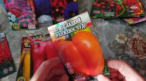 Посев перцев