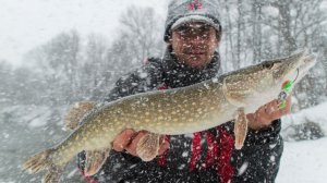 Снежная пурга как на Камчатке, как поймать щуку на джиг в эту погоду? Зимний спиннинг. [Пора ловить]