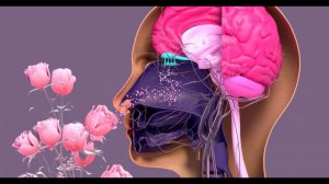 Машина времени 16.02