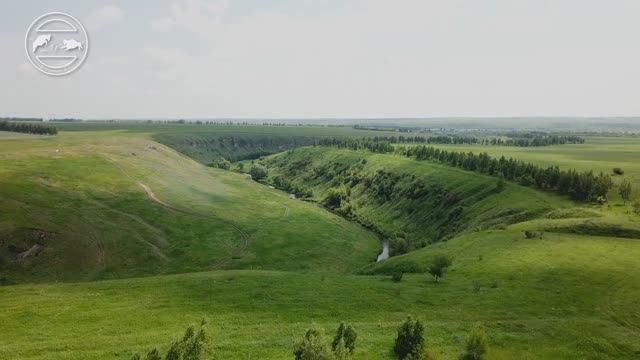 Пещеры Липецкой области. Глава12. Аргамач-Пальна. Каньон