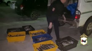 Иркутская полиция уличила 2 мужчин в незаконной ловле более 500 байкальских омулей на 3,5 млн рублей