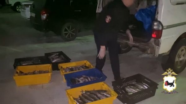Иркутская полиция уличила 2 мужчин в незаконной ловле более 500 байкальских омулей на 3,5 млн рублей