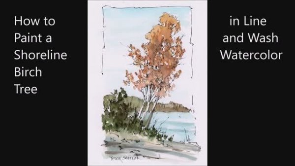 Shoreline birch trees. Line and wash watercolor. Just one brush and minimum of colors. Peter Sheeler