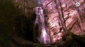 Коран. Сура Аль-Вакиа