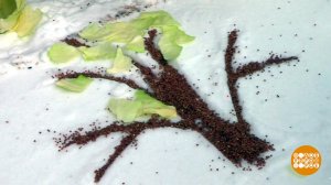 Картины на снегу: это для птичек! Доброе утро. Фрагмент выпуска от 12.02.2026