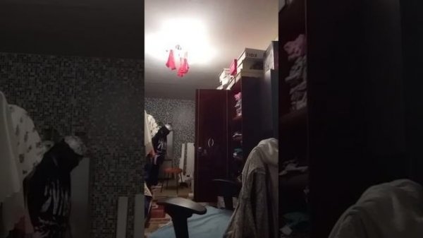 12-02-2026 вечерний стрим. Сашка собирает кухню. ваша попрошайка