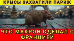 В шоке от Франции! 09.02.26. В гостях у Колобка! Колобок из Одессы!